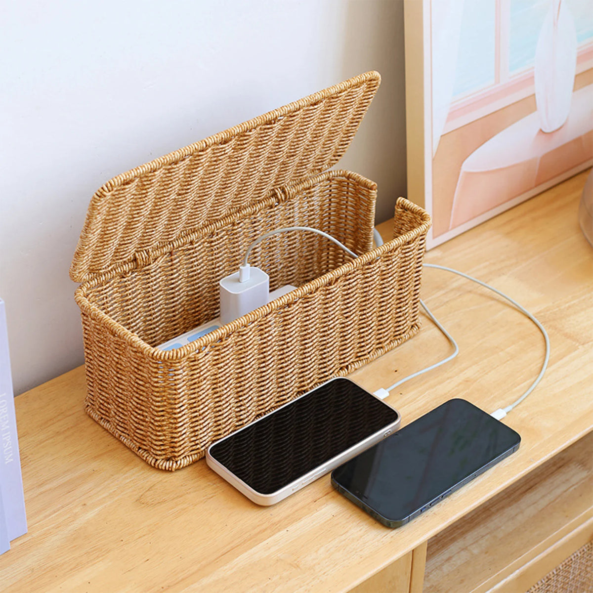 Arch & Cable — Boîte cache-câbles tressée pour multiprise